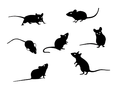 ねずみの群勢