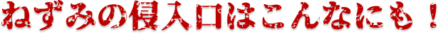 ねずみの侵入口はこんなにも！