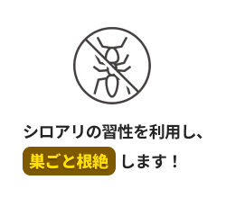 シロアリの習性を利用し、巣ごと根絶します