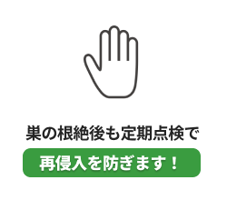 巣の根絶後も定期点検で再侵入を防ぎます