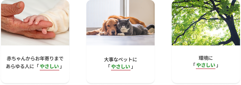 やさしいシロアリ防除の特徴