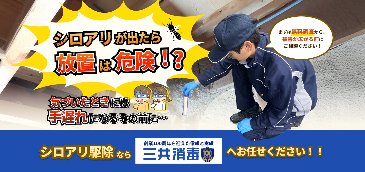 シロアリが出たら放置は危険！？気づいたときには手遅れになるその前に・・・|シロアリ駆除なら創業100周年を迎えた信頼と実績 三共消毒へお任せください！！