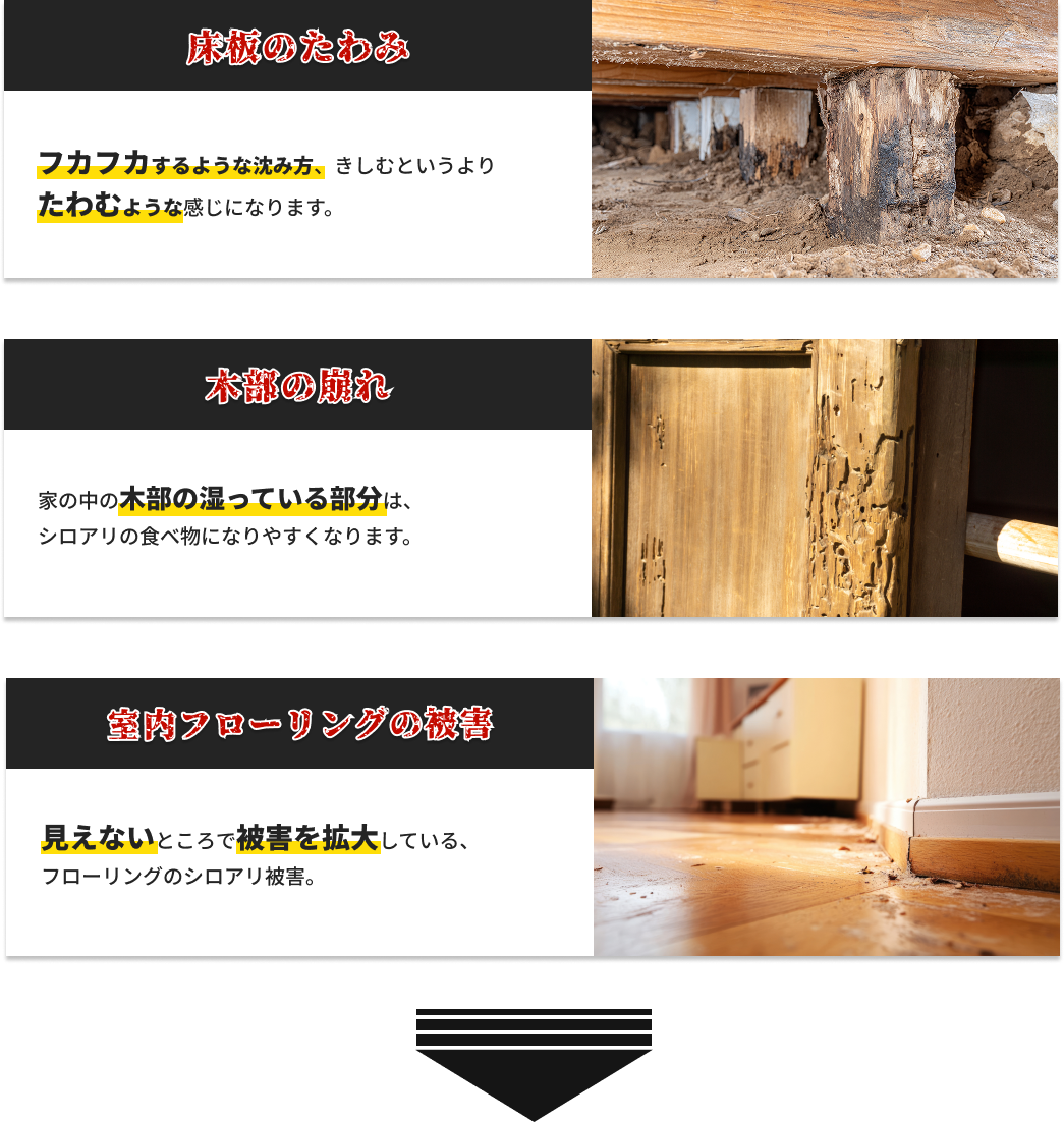 シロアリ被害の例