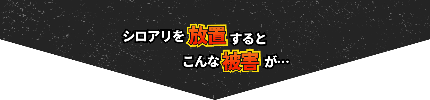 シロアリを放置するとこんな被害が…