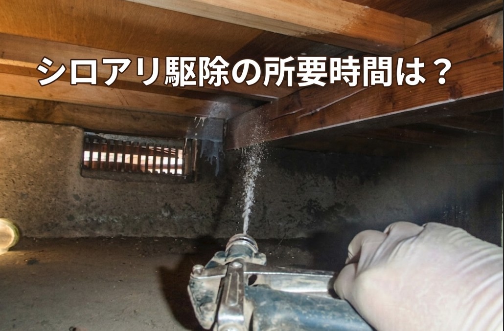 シロアリ駆除にかかる時間はどれくらい？作業の流れと注意点を解説