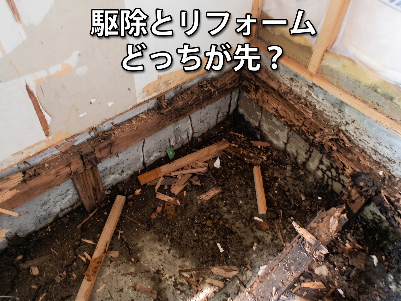 シロアリ駆除後にリフォームはできる？最適なタイミングと注意点を解説