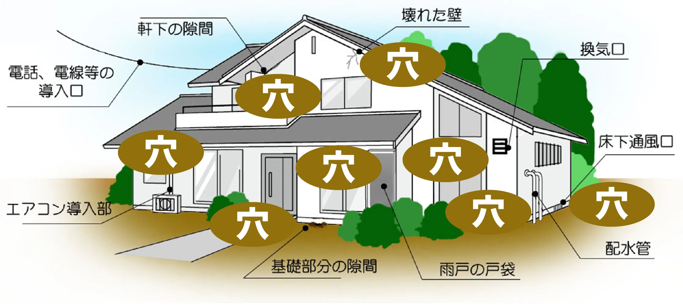 ねずみの侵入口を徹底調査して完全封鎖